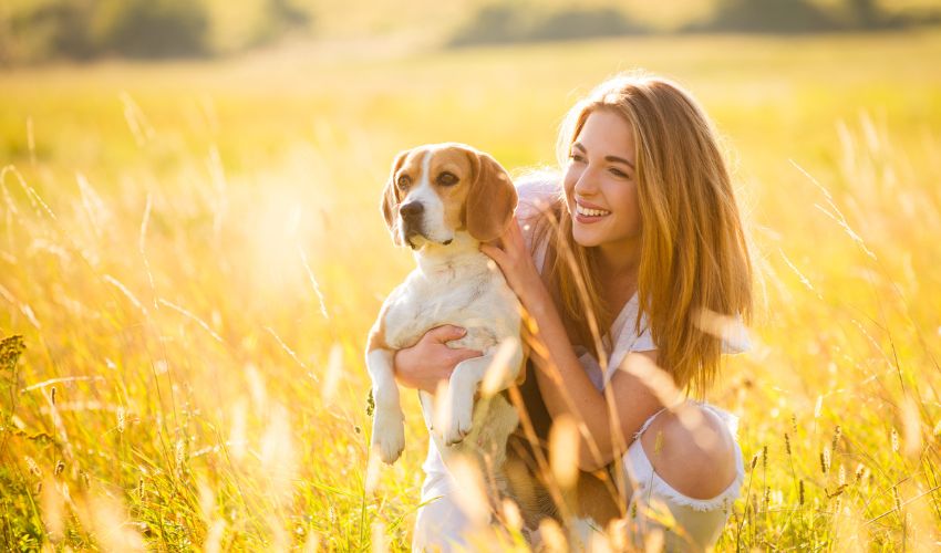 Exploring Rare Dog Breeds: Uncovering Their Unique Traits and Characteristics